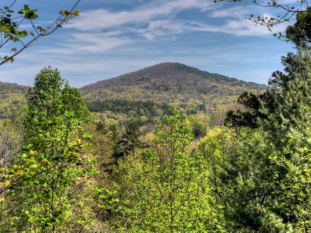 305 Kimbolton Drive, Morganton, GA 30560