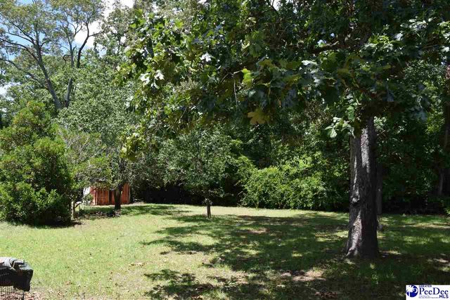2329 W McCown Drive, Florence, SC 29501