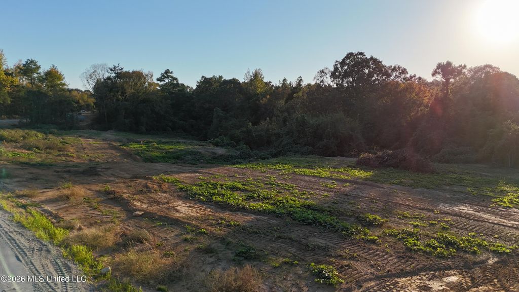 4 Tyro Branch Cove, Senatobia, MS 38668 — photo 2