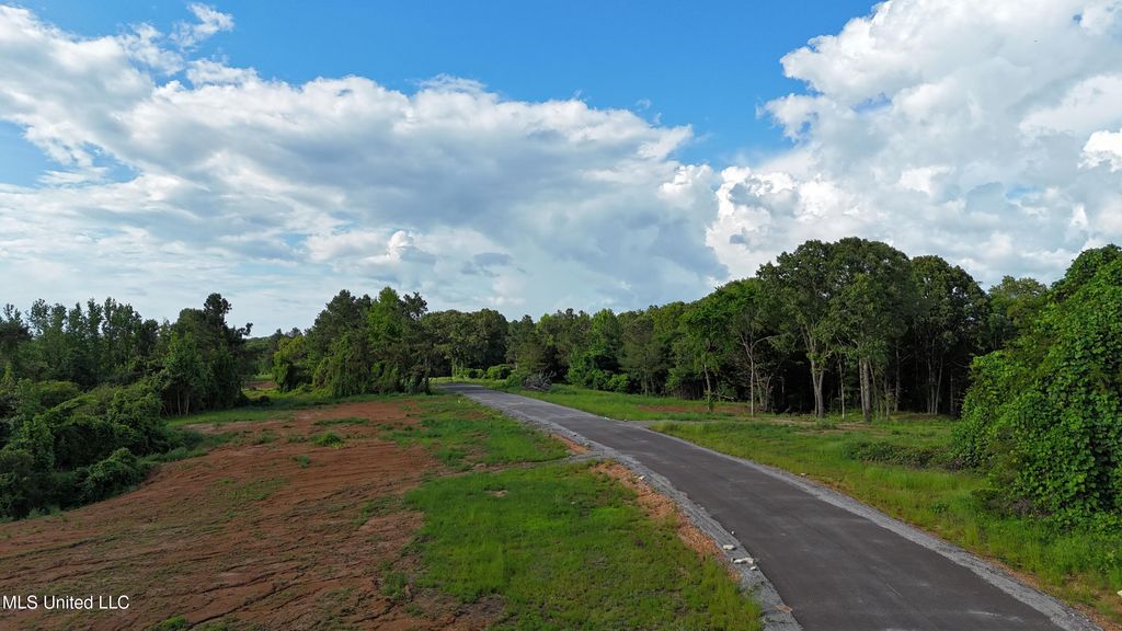 4 Tyro Branch Cove, Senatobia, MS 38668 — photo 4