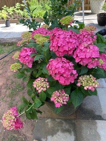 1678 Stilesboro Ridge NW Drive, Kennesaw, GA 30152