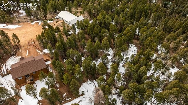 43 Dusti Circle, Florissant, CO 80816