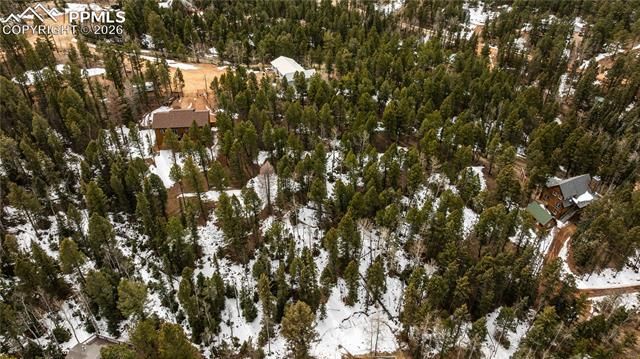 43 Dusti Circle, Florissant, CO 80816