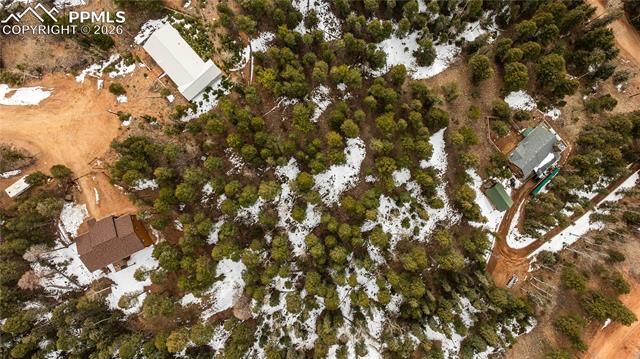 43 Dusti Circle, Florissant, CO 80816