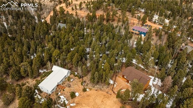 43 Dusti Circle, Florissant, CO 80816