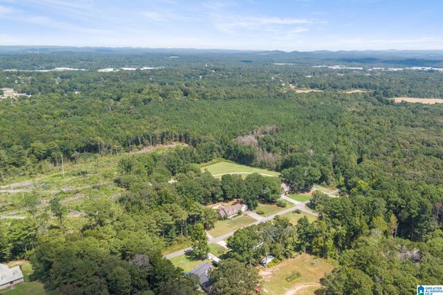 19 PINE KNOLL DRIVE, Pell City, AL 35128