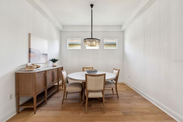 32613 SUMMERGLADE DRIVE, Wesley Chapel, FL 33545