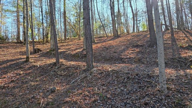 138 Red Oak Trail, Ellijay, GA 30540