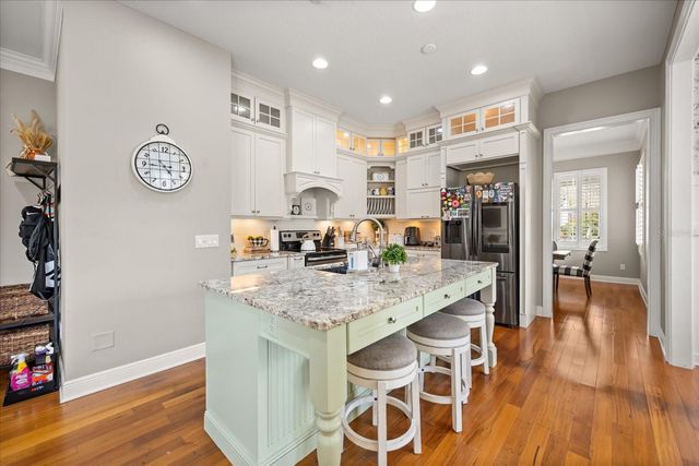 815 SPRING PARK LOOP, Celebration, FL 34747