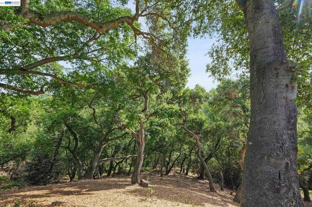 6034 Slopeview Ct, Castro Valley, CA 94552