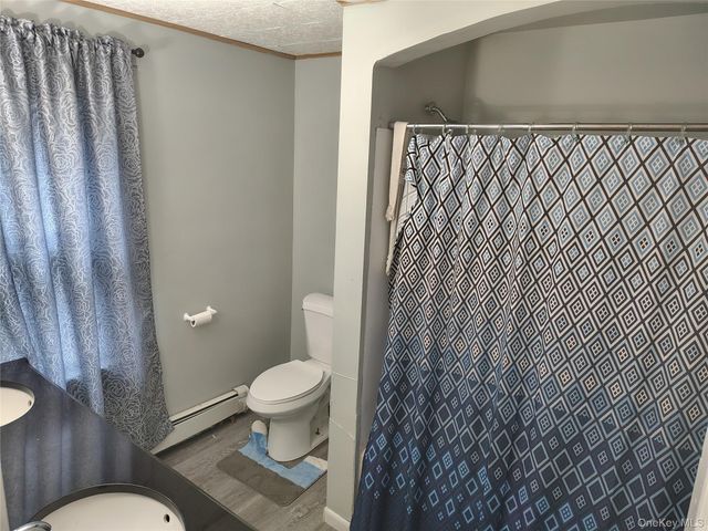 12 Emma Street, Liberty, NY 12754