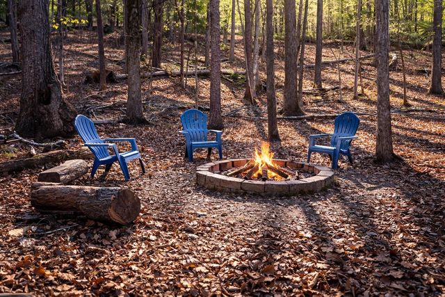 216 BRAD LEE LN, Counce, TN 38326