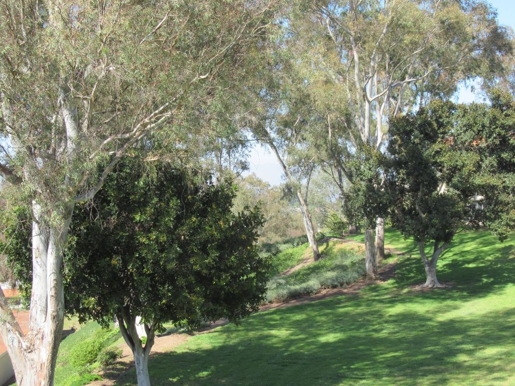 Image 1 of property listing at 5370 5370 Punta Alta # 2A, Laguna Woods, CA 92637