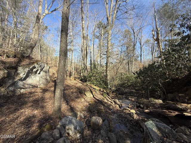 805 Bogard Creek Road, Cosby, TN 37722