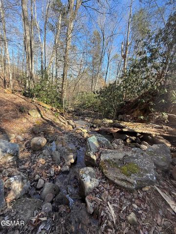 805 Bogard Creek Road, Cosby, TN 37722