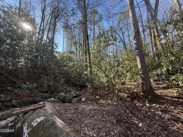 805 Bogard Creek Road, Cosby, TN 37722