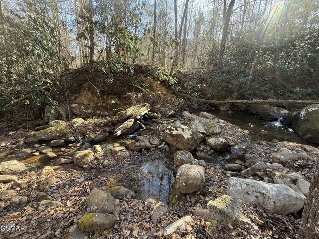 805 Bogard Creek Road, Cosby, TN 37722