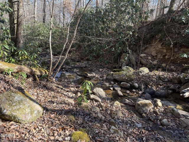 805 Bogard Creek Road, Cosby, TN 37722