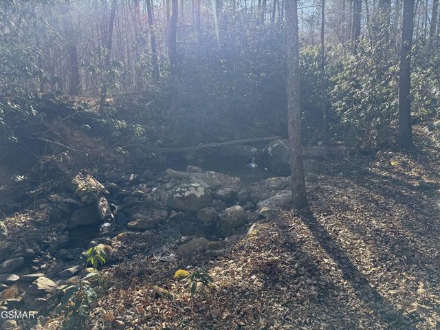 805 Bogard Creek Road, Cosby, TN 37722