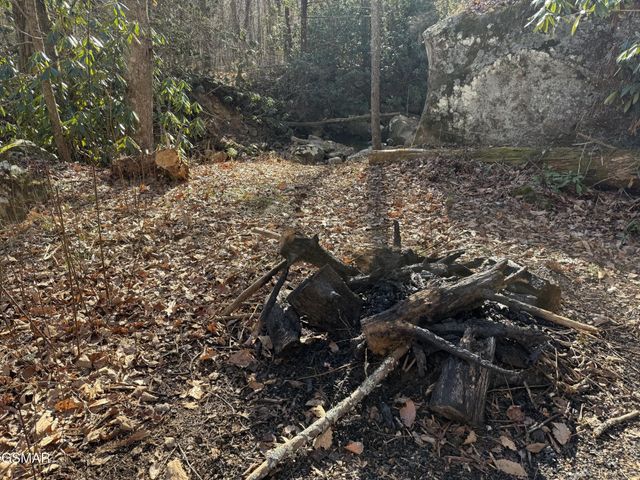 805 Bogard Creek Road, Cosby, TN 37722