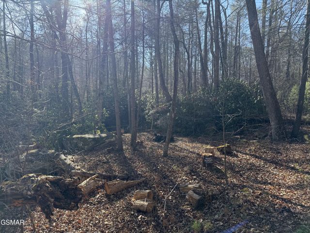 805 Bogard Creek Road, Cosby, TN 37722