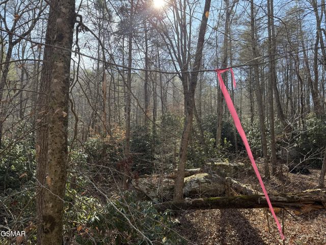 805 Bogard Creek Road, Cosby, TN 37722