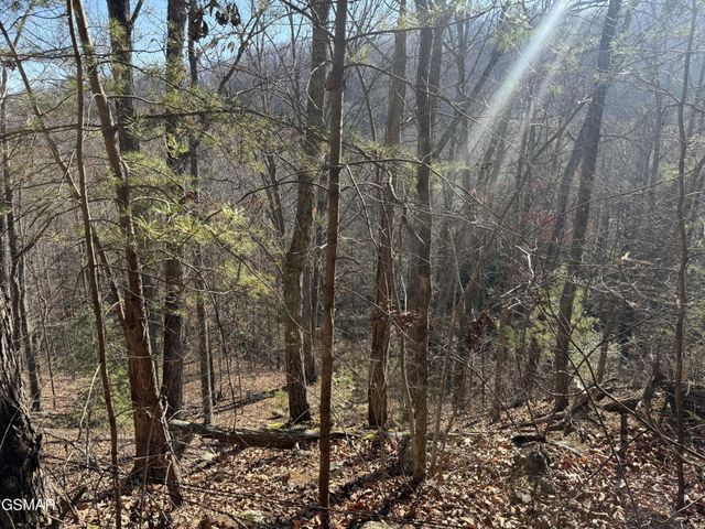 805 Bogard Creek Road, Cosby, TN 37722