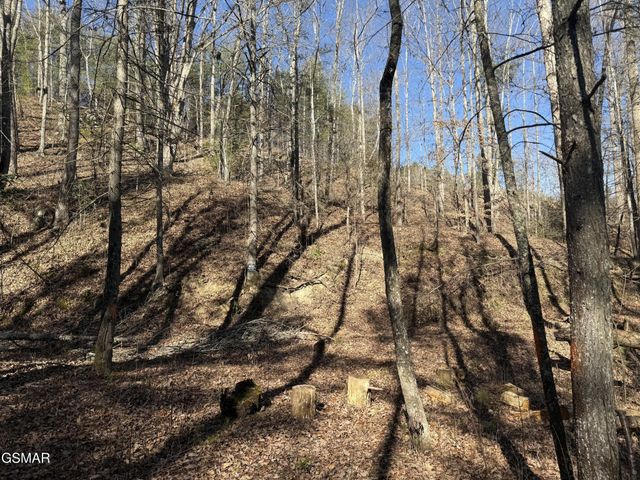 805 Bogard Creek Road, Cosby, TN 37722