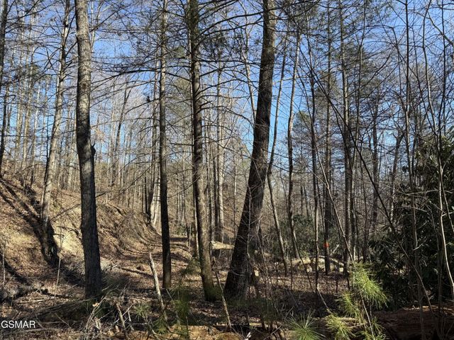 805 Bogard Creek Road, Cosby, TN 37722