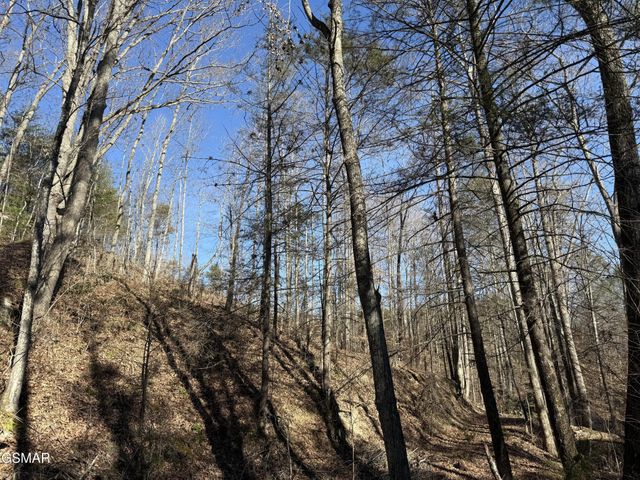 805 Bogard Creek Road, Cosby, TN 37722