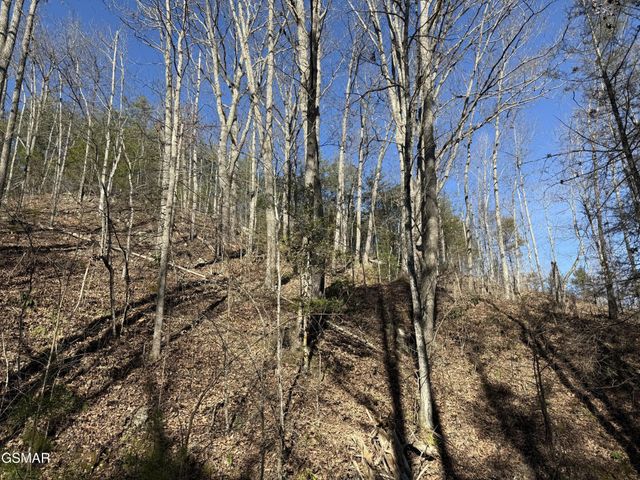 805 Bogard Creek Road, Cosby, TN 37722