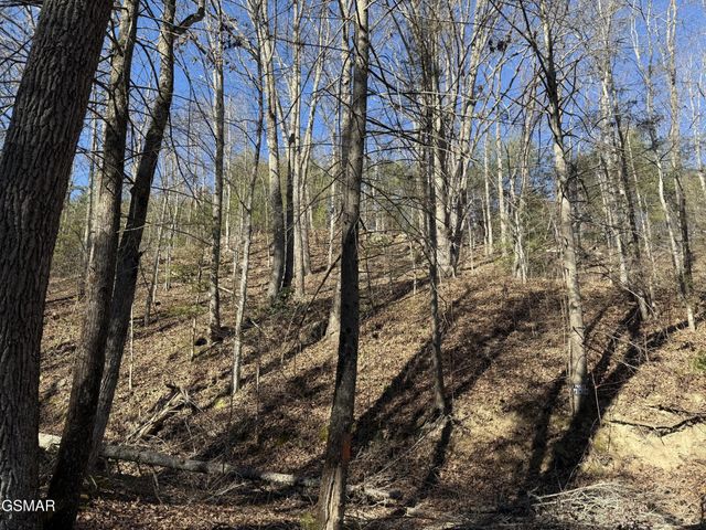 805 Bogard Creek Road, Cosby, TN 37722