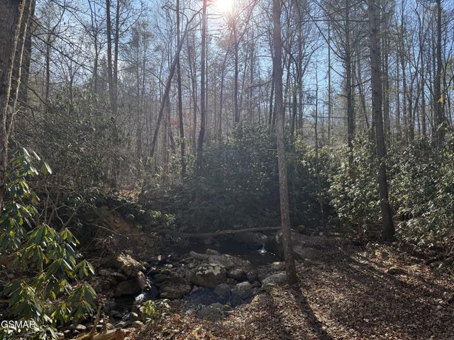 805 Bogard Creek Road, Cosby, TN 37722