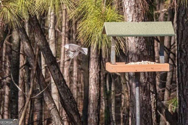 152 Summit Trail, Dallas, GA 30132