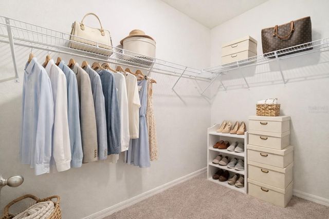 3072 SUNCOAST PLAINS DRIVE, Odessa, FL 33556