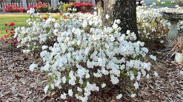 45554 County Road 112 Road, Bay Minette, AL 36507