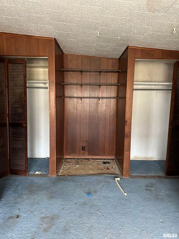 569 CUSTER Place, Canton, IL 61520