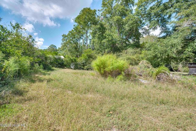 176 Lee Drive, Warrenville, SC 29851