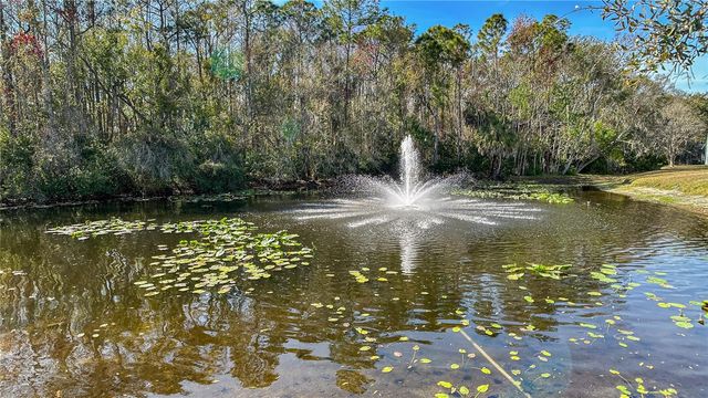 9402 CHARLESBERG DRIVE, Tampa, FL 33635