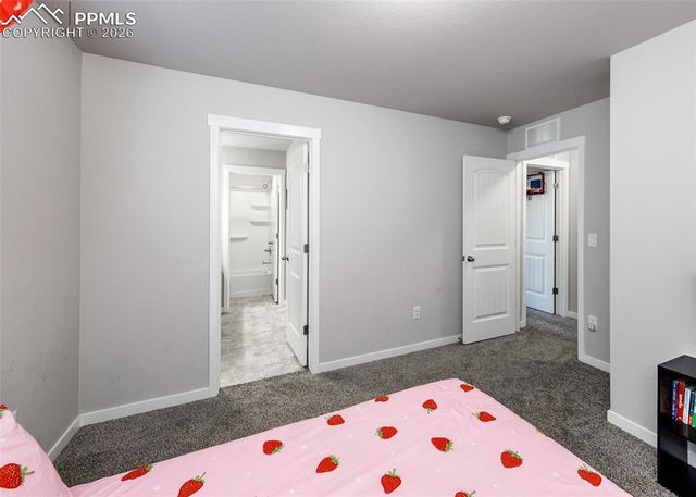 4033 Warthog Heights, Colorado Springs, CO 80916