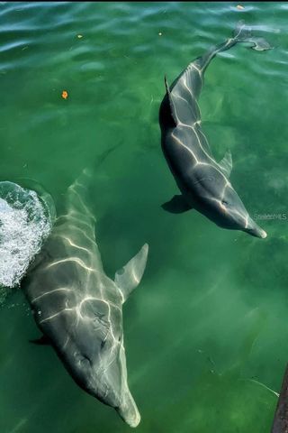 204 CARRIAGE HOUSE LANE 204, Nokomis, FL 34275