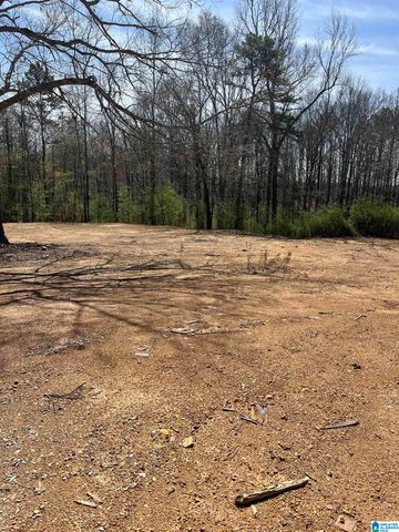 2432 FLORIDA ROAD, Pell City, AL 35125