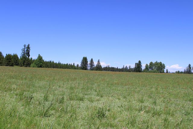 45XX W Gibson-Dahl Rd, Clayton, WA 99110