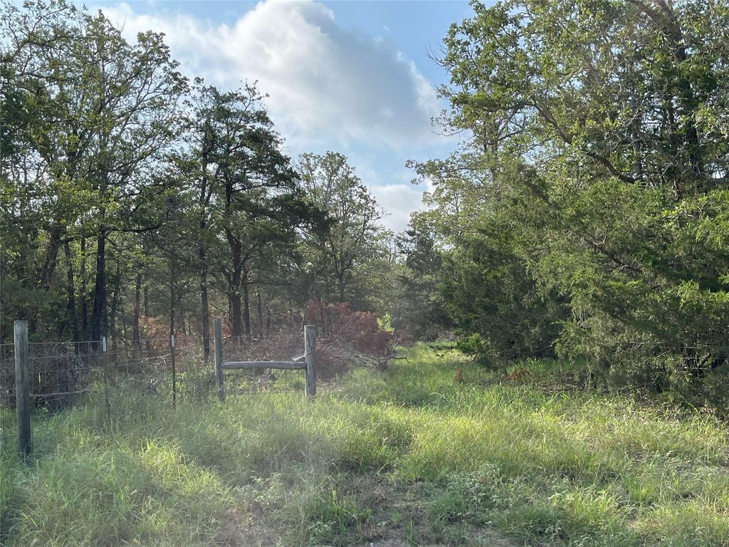 1600 Sandy Creek RD, Red Rock, TX 78616