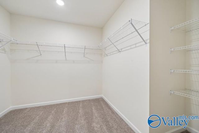 17885 Daniel Island Drive, Athens, AL 35611