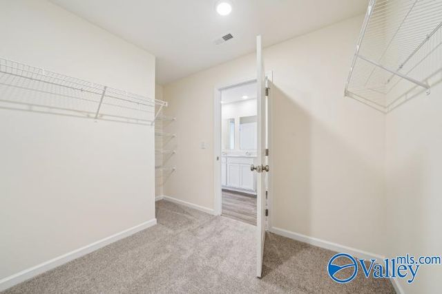 17885 Daniel Island Drive, Athens, AL 35611