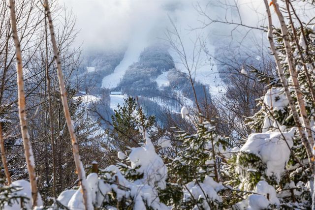 121 High Meadow Road, Winhall, VT 05340