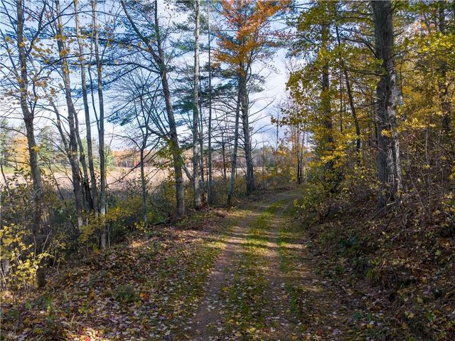 Lot 64 Vasa Road, Hayward, WI 54843