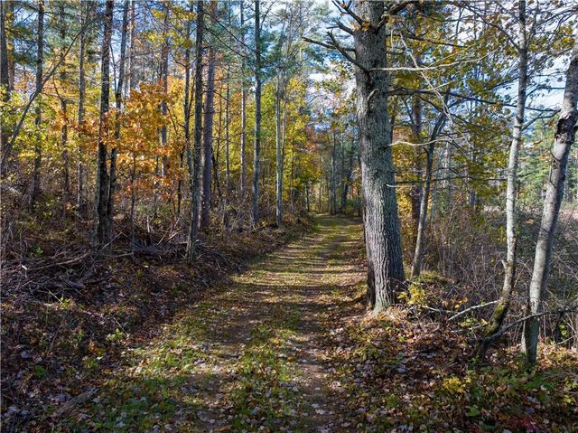 Lot 64 Vasa Road, Hayward, WI 54843
