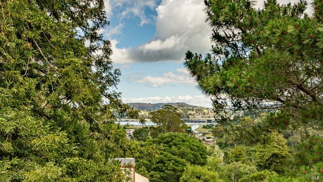303 Bristol Pl, Mill Valley, CA 94941